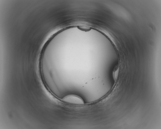 X0000111861139200907231125
