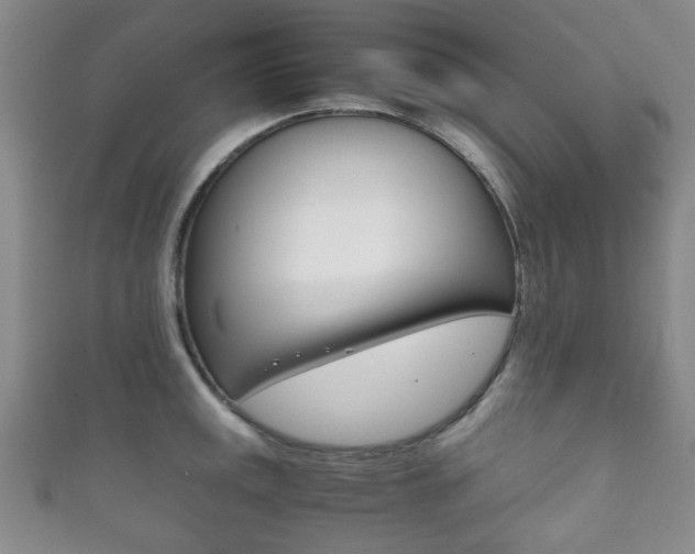 X0000111861141200907231125