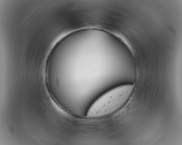 X0000111861143200907231125