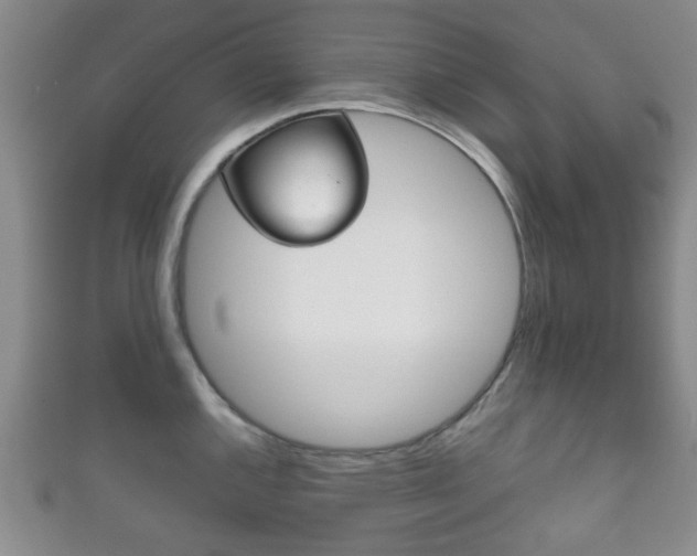 X0000111861144200907231125