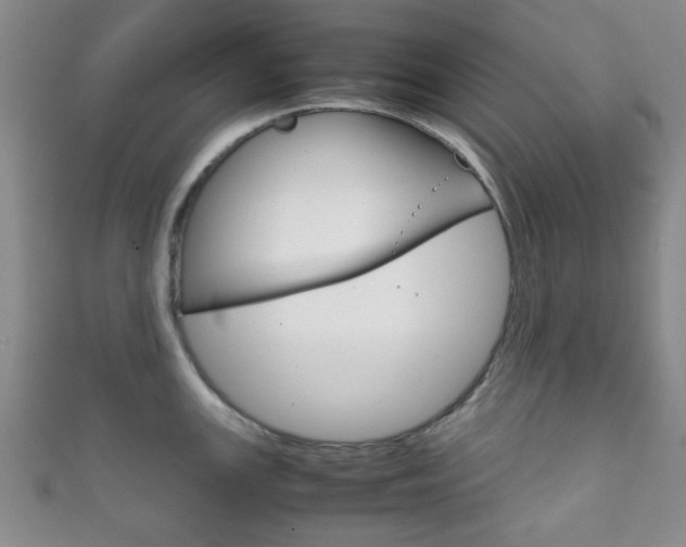 X0000111861147200907231125