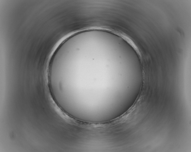 X0000111861148200907231125