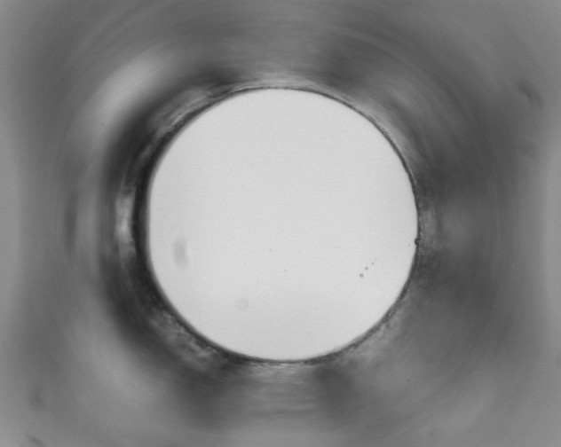 X0000111861150200907231125