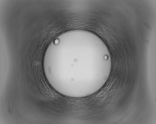 X0000111861153200907231125
