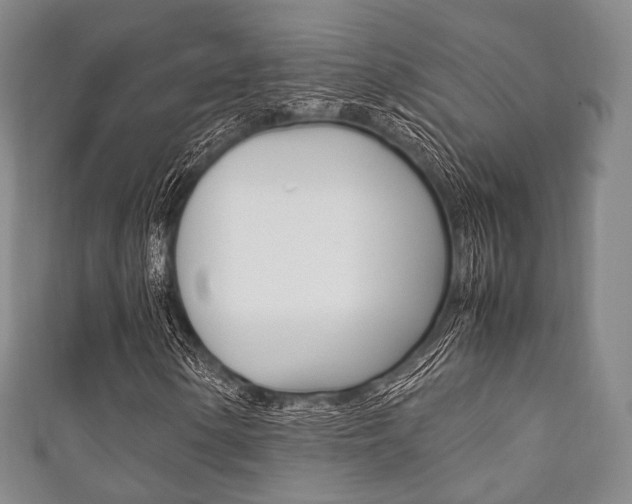 X0000111861154200907231125