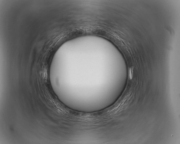 X0000111861155200907231125