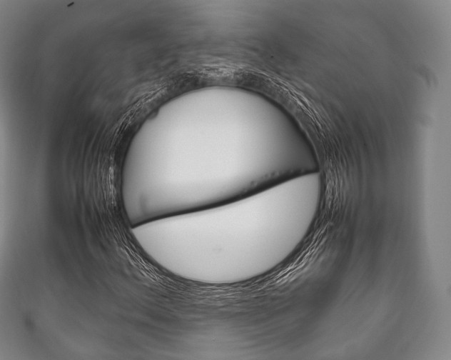 X0000111861156200907231125