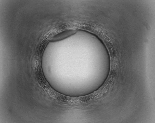X0000111861157200907231125