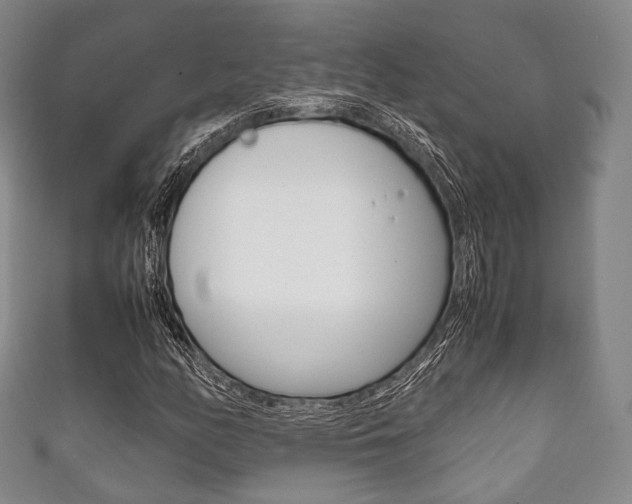 X0000111861158200907231125