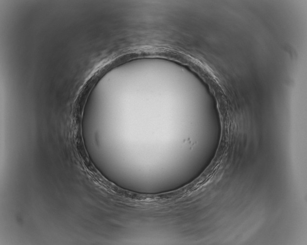 X0000111861160200907231125