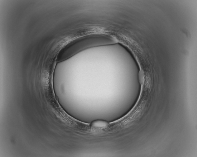 X0000111861161200907231125