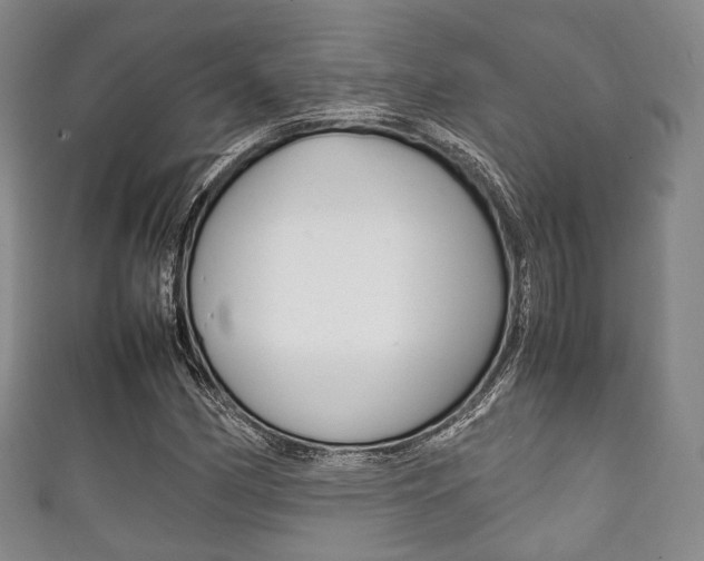 X0000111861162200907231125