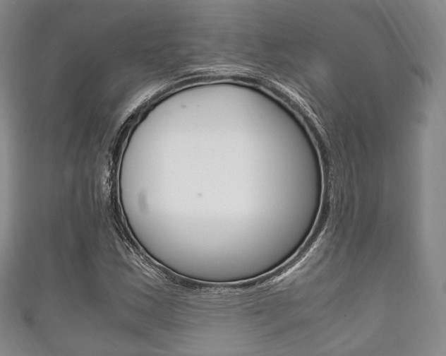 X0000111861163200907231124
