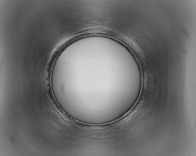 X0000111861164200907231124