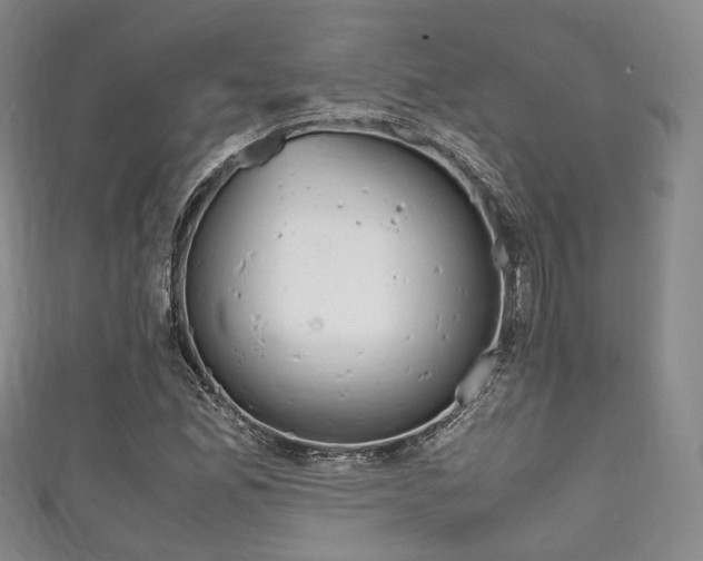 X0000111861165200907231124