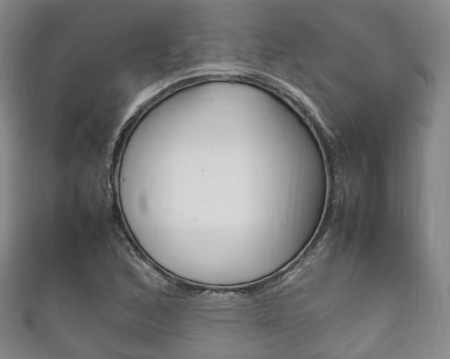 X0000111861168200907231124