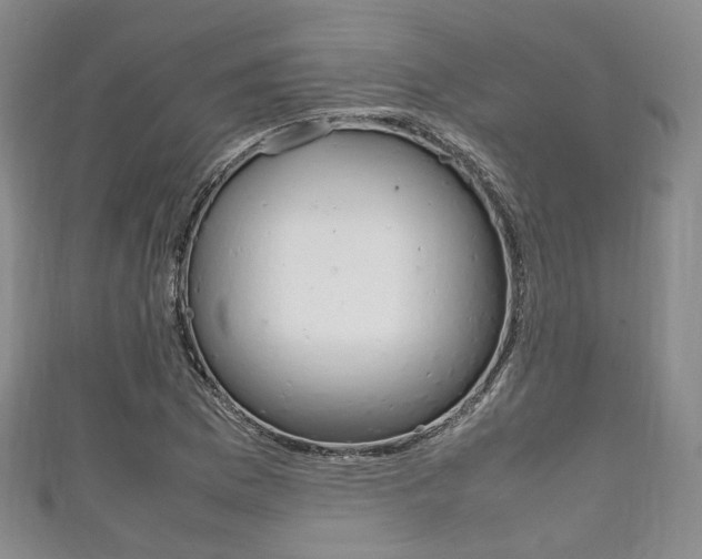 X0000111861169200907231124