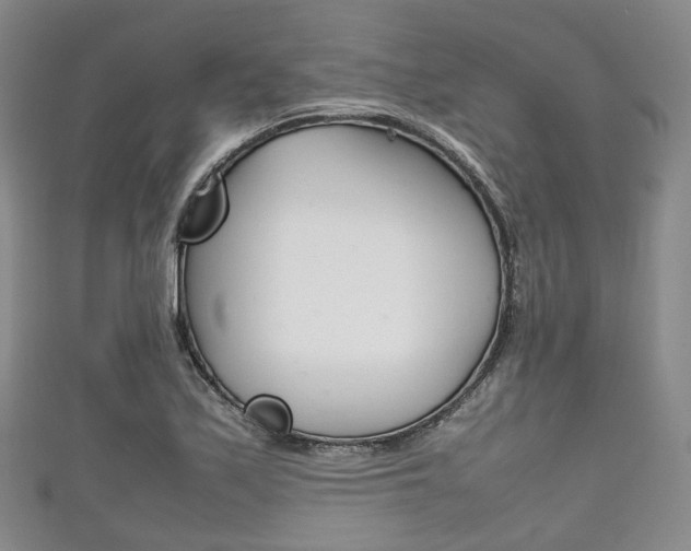 X0000111861171200907231124