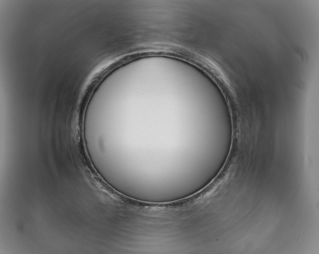 X0000111861172200907231124