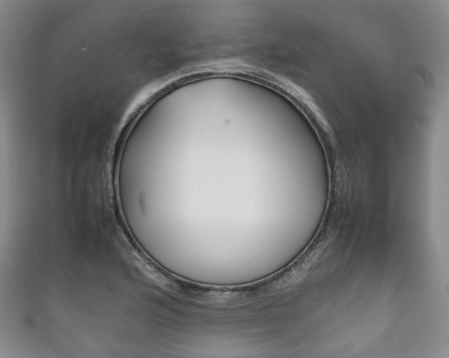 X0000111861176200907231124