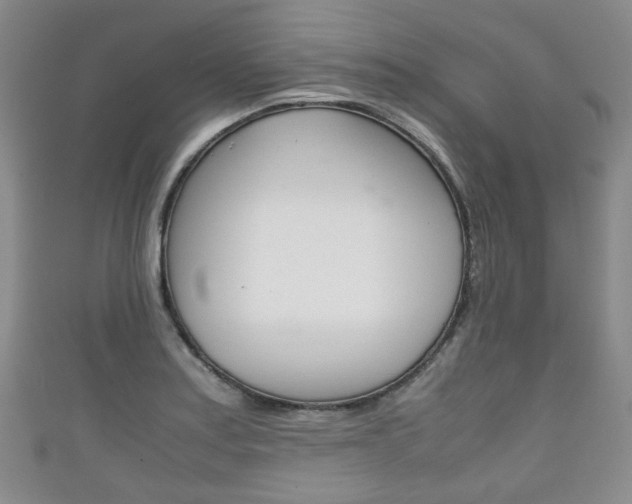 X0000111861179200907231124