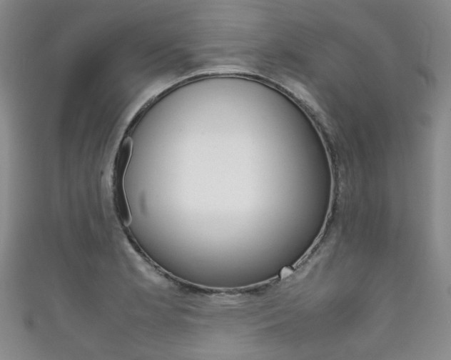 X0000111861181200907231124