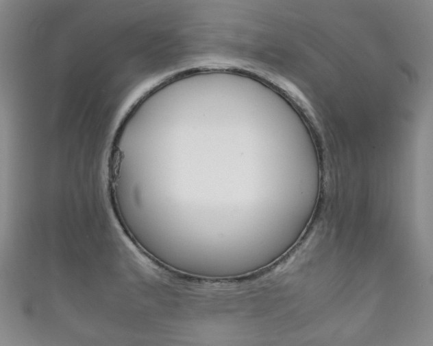 X0000111861183200907231124