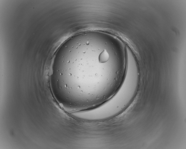 X0000111861185200907231124