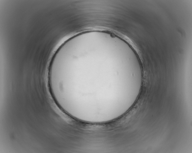 X0000111861187200907231124