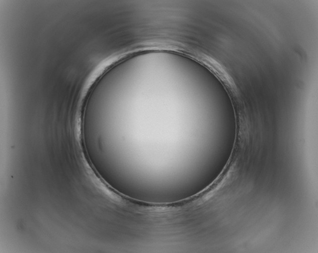 X0000111861188200907231124