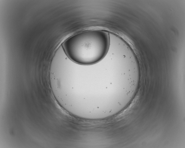 X0000111861193200907231124