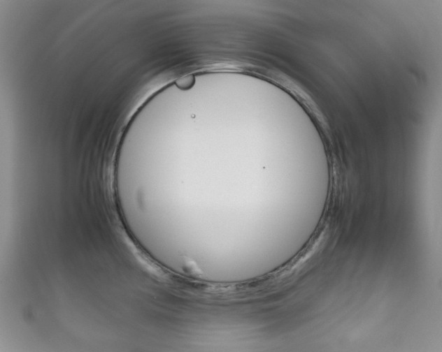 X0000111861194200907231124
