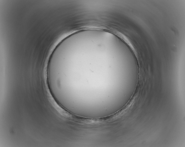 X0000111861195200907231124