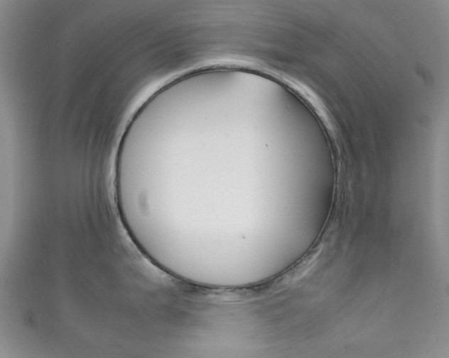 X0000111861199200907231124
