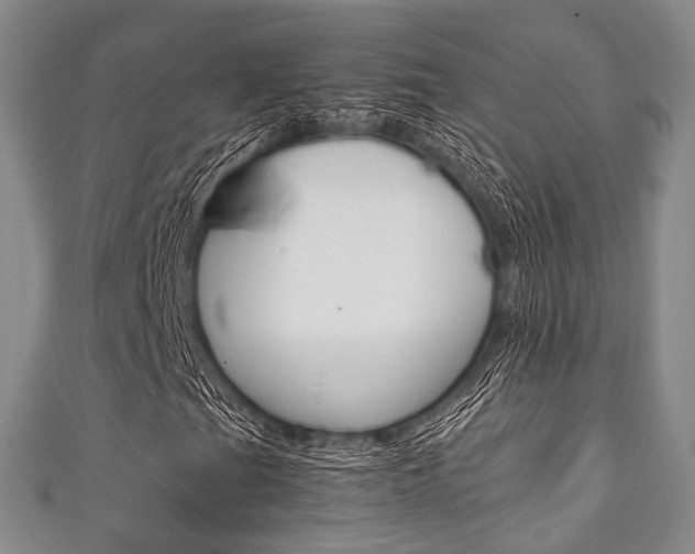 X0000111861201200907231123