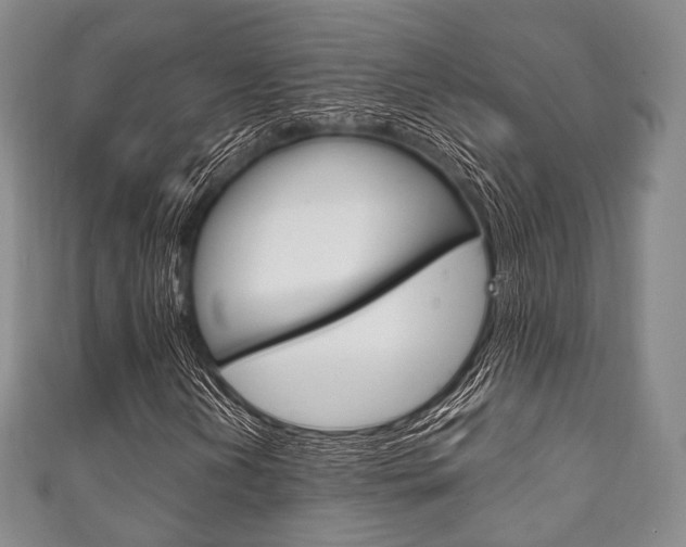 X0000111861202200907231123
