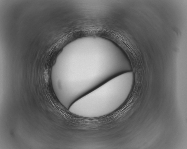 X0000111861204200907231123