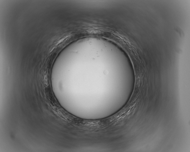 X0000111861205200907231123
