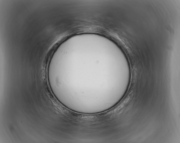 X0000111861211200907231124