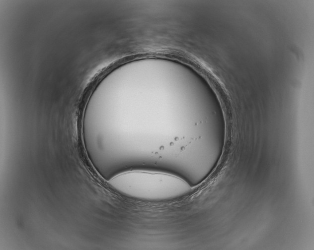 X0000111861214200907231124