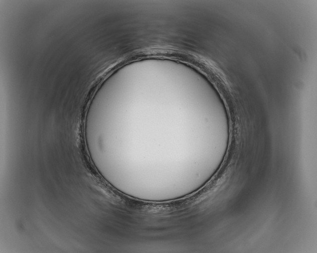 X0000111861217200907231124