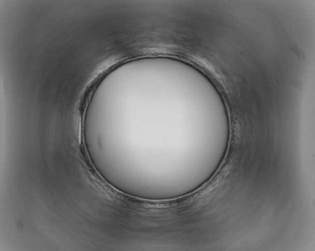 X0000111861219200907231124