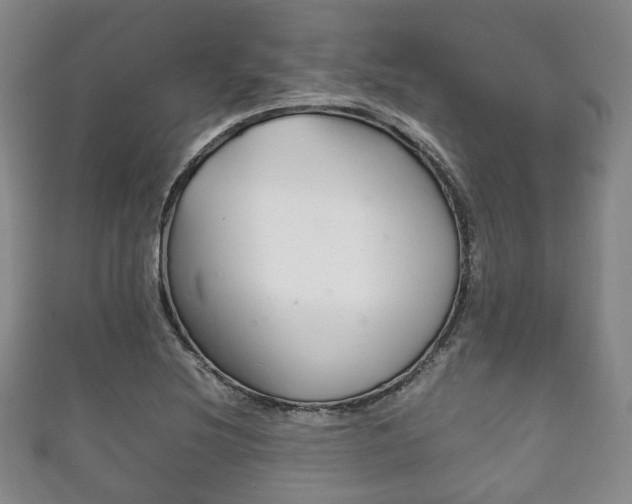 X0000111861220200907231124