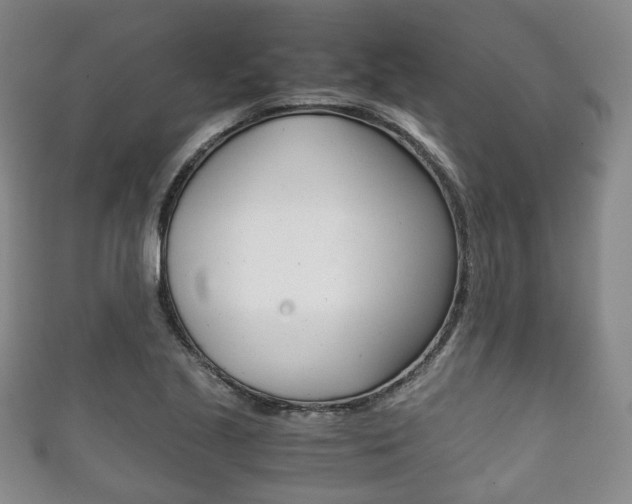 X0000111861221200907231124