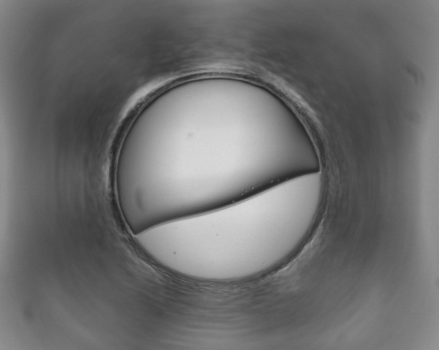 X0000111861222200907231124