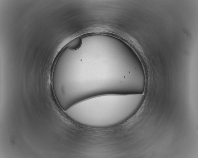 X0000111861226200907231124