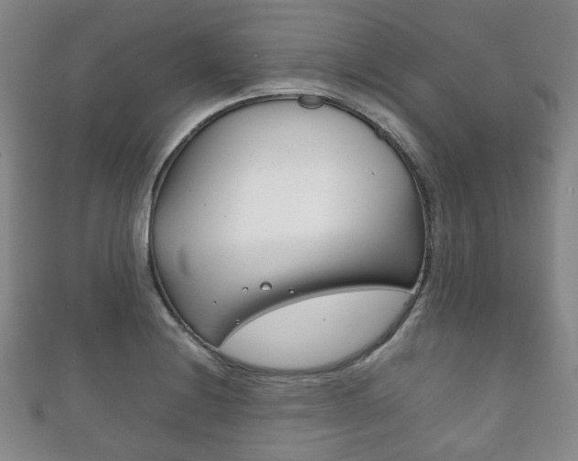 X0000111861228200907231124