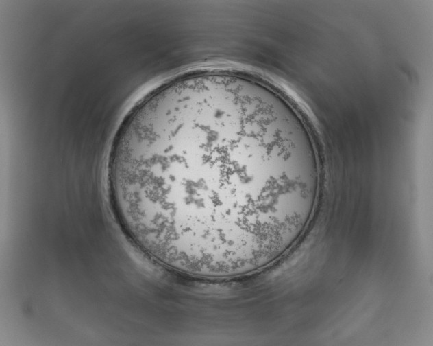 X0000111861229200907231124