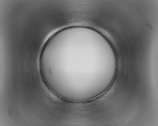 X0000111861230200907231124