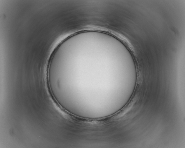 X0000111861231200907231124